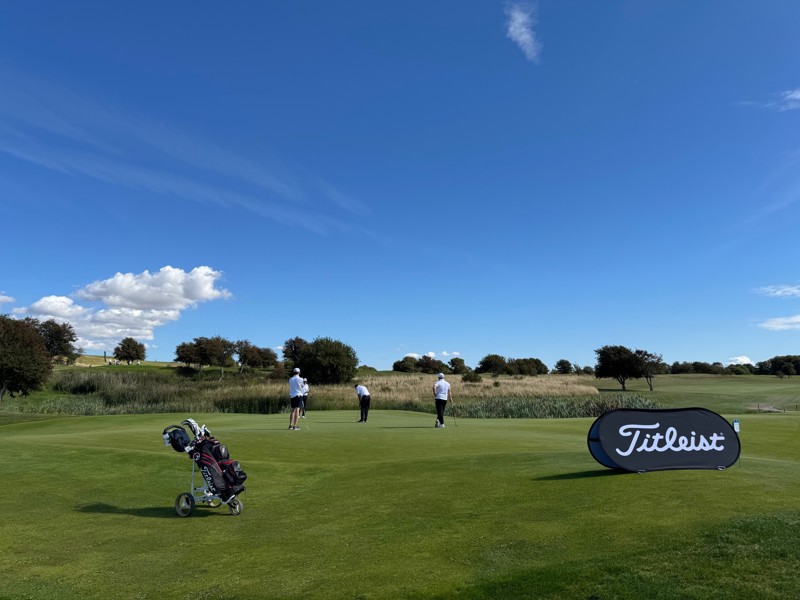 12 dussin loggade golfbollar